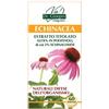 GIORGINI Echinacea estratto tit 60past