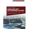 Maggioli Editore Degrado, danni e difetti delle pietre naturali e dei laterizi