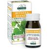 BETULLA BIANCA ESTR TIT 60PAST