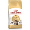 ROYAL CANIN GATTO ADULTO MAINE COON 31 400 G