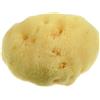 Alcea MOOD SPUGNA MAR MEDITERRANEO FINE DAMA 10CM