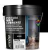 JOVIRA PINTURAS Pittura di copertura opaco. Pittura per interni ed esterni con eccellente potere coprente. (4 Litri, Nero)