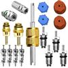 CANIPHA Air Conditioning Valve Kit Nucleo valvola Aria condizionata, Incluso Sistema di refrigerazione A/C R12 e R134a Nucleo valvola Porta Servizio AC Tappo Tenuta Strumento rimozione Nucleo valvola