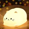ZKLiLi lampada per gatti Luce Notturna Bambini, RGB Lampada Notturna Per Bambini, Dimmerabile Lucina Notte Bambini, Funzione Timer 7 Colori di batteria LED Silicone Regalo Neonato Cameretta (Katzen)