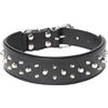 Eurocuoio Collare in cuoio imbottito con borchie per cani grandi, collare Mastino,Bulldog,Rottweiler,Boxer,Corso.