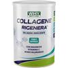 Amicafarmacia WhyNature Collagene Rigenera Neutro 330g