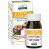 Dr Giorgini GARCINIA CAMBOGIA Estratto Titolato Pastiglie - 30 g
