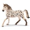 SCHLEICH 13889 Stallone Knabstrupper, da 5 Anni, Horse Club - Figura, 6 x 14 x 11 cm