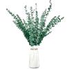 KAOHONG 20 pz Eucalipto essiccati steli di fiori secchi e conservati 17 pianta di Eucalipto verde fresco naturale per composizioni floreali, decorazioni per matrimoni, decorazioni per la casa, 65/R16