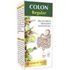 DR.GIORGINI SER-VIS SRL Colon Regular Liquido Analcoolico Dr. Giorgini Integratore Intestinale 200 Ml