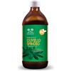 SALUGEA (RELOAD Srl) Salugea Succo Di Olivello Spinoso Bio 500ml