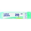 BOIRON Srl LEDUM PALUSTRE 200CH GRANULI MULTIDOSE