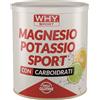 Biovita Whysport Magnesio Potassio Sport 300 G