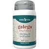 ERBA VITA Integratore alimentare di Galega - 60 capsule - favorisce la fisiologica funzionalità galattagoga