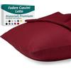 Flowen Federe Cuscini Letto Matrimoniale e Singolo 50x70 Set da 2 Copricuscini in Microfibra Fodere Lavabili e Resistenti 50 x 70 cm Tessuto 100% Poliestere Traspirante Anallergico Antiacaro