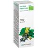 SPECCHIASOL SRL Specchiasol Melissa 17 Soluzione Idroalcolica 50 Ml