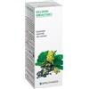 SPECCHIASOL SRL Specchiasol Cardo Mariano 6 Tintura Madre 50 Ml Omeopatia