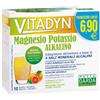 Vitadyn Magnesio Potassio Integratore 10 Bustine 6 G