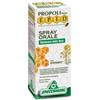 SPECCHIASOL SRL Specchiasol Epid Spray Orale Con Erisimo Integratore Per La Voce 15 Ml