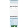 ERBA VITA ESTRATTI LIQUIDI Erba Vita Ortosiphon Foglie Tintura Idroalcolica Drenante 50 Ml