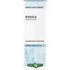 ERBA VITA ESTRATTI LIQUIDI Erba Vita Rhodiola Radice Estratto Fluido 50 Ml
