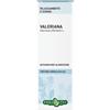 ERBA VITA ESTRATTI LIQUIDI Erba Vita Valeriana Tintura Idroalcolica 50Ml