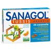 SANAGOL Named Srl Sanagol Tuss 24Car Erisimo