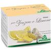SPECCHIASOL SRL Specchiasol Infuso Zenzero E Limone 20 Filtri