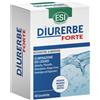 Diurerbe Forte 40 Tavolette