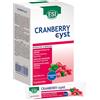 ESI Cranberry Cyst 16 Pocket Drink