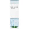 Erba Vita Group Rosa Canina Bacche Tintura Idroalcolica 50 Ml Ebv