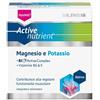 NATURWAREN Active Nutrient Magnesio E Potassio 20 Bustine