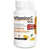 PALADIN PHARMA SPA Sanavita Vitamina C 60 Compresse