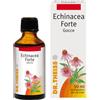 NATURWAREN ITALIA SRL Dr. Theiss Echinacea Forte Gocce 50 Ml