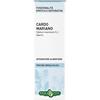 ERBA VITA ESTRATTI LIQUIDI Cardo Mariano Tintura Idroalcolica