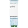 ERBA VITA ESTRATTI LIQUIDI Lampone Foglie Tintura Idroalcolica 50 Ml Ebv