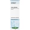 ERBA VITA GROUP SPA Erba Vita Uva Ursina Foglie Soluzione Idroalcolica 50 Ml