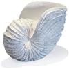 Huey House Nautilus - Scultura a forma di conchiglia, replica a tema spiaggia, decorazione per la casa, rustica in resina bianca, 25,4 x 15,2 x 20,3 cm, decorazione per mensole, in confezione regalo