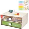 DIBALIYI 2 PCS Cassettiera Plastica con 2 Cassetti, Cassettiera Scrivania Impilabile A4 Artigianato di Carta con Etichette per Cancelleria, Trucco, Dormitorio e Ufficio (L-2*Bianco)