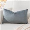 Artscope Federe Cuscini in Velluto Minimalista Copricuscino Colorato per la Decorazione Domestica Soggiorno Camera da Letto Divano 40x60cm, Grigio Grafite
