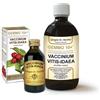 DR.GIORGINI PRESSO SER-VIS Dr. Giorgini Gemmo 10+ Mirtillo Rosso Liquido Analcoolico 100 Ml