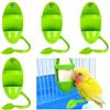 YOUNGSAY 4 Pezzi Supporto per Osso di Seppia, Porta Osso di Seppia con Supporto in Piedi, Portatile Porta Osso di Seppia per Pappagalli, Per Servire Frutta e Verdura (Verde)