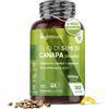 WeightWorld Olio di Canapa 1000mg Spremuto a Freddo, Fonte di Omega 3 6 9 (6 Mesi), Olio di Semi di Canapa Vegano, Estratto di Canapa Sativa (Hemp Seed) Alternativa a Olio di Pesce Omega 3 Capsule, 180 Softgel