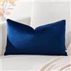 Artscope Federe Cuscini in Velluto Minimalista Copricuscino Colorato per la Decorazione Domestica Soggiorno Camera da Letto Divano 30x50cm, Blu Marino