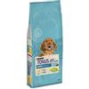 Dog Chow Purina Tonus Dog Chow Puppy Crocchette Cani Junior con Pollo, 14 kg