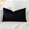Artscope Federe Cuscini in Velluto Minimalista Copricuscino Colorato per la Decorazione Domestica Soggiorno Camera da Letto Divano 40x60cm, Nero