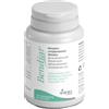 AURORA BIOFARMA Srl BENDIAR 10CPR