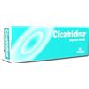 FARMA-DERMA S.R.L. CICATRIDINA UNG NASALE 15G
