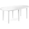 IPAE PROGARDEN Tavolo da Giardino Ovale in Resina con Foro per Ombrellone 181x90 cm colore Bianco - 90980