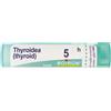Boiron Thyroidinum 5ch Granuli